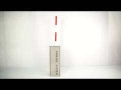 Akıllı Park Sistemi İçin Özel Servo Motor 304 Paslanmaz Çelik Araç Atomik Bom Bariyer Kapıları